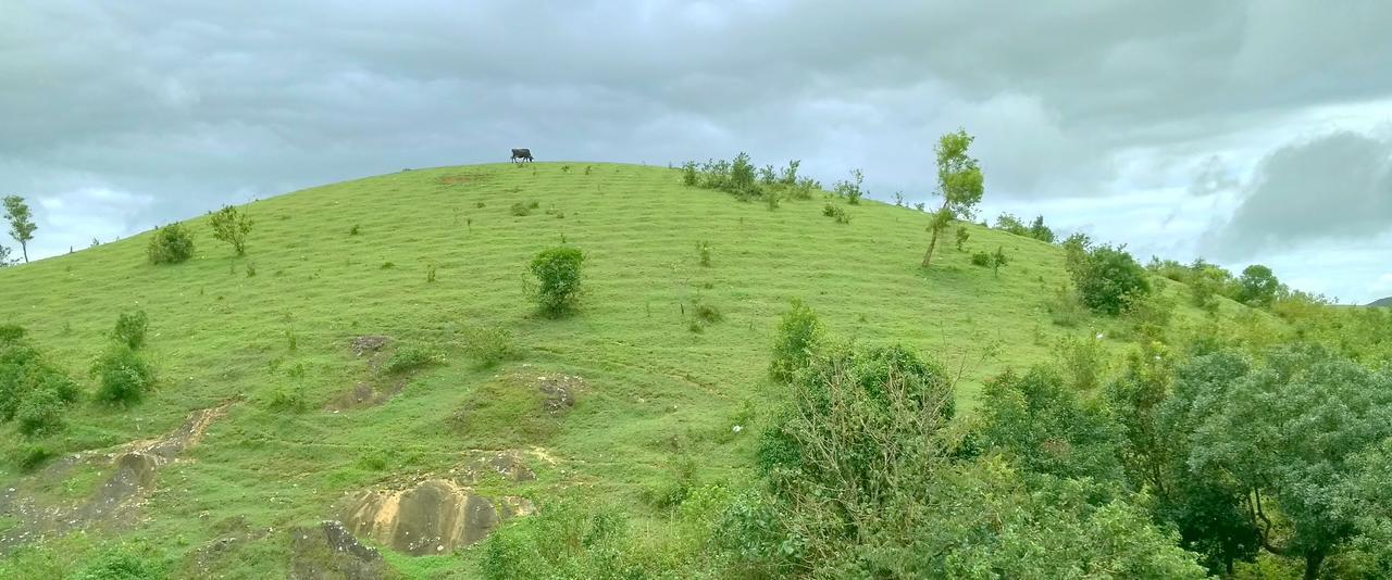 Vagamon Clouds Hotel Exterior foto